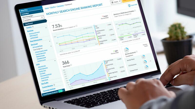 search-engine-optimization-800x450 Search Engine Optimization & SEO Services